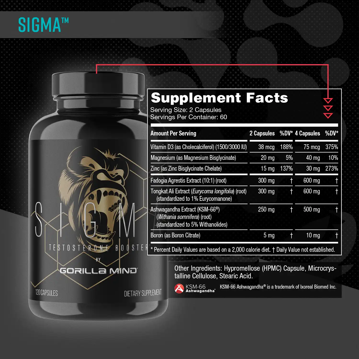 Male Performance Stack
